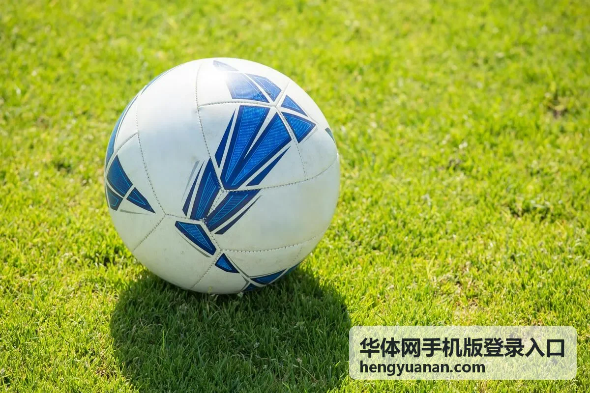 华体网手机版登录入口账号密码登录步骤