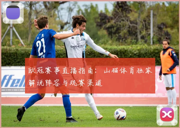 欧冠赛事直播指南:山猫体育独家解说阵容与观赛渠道