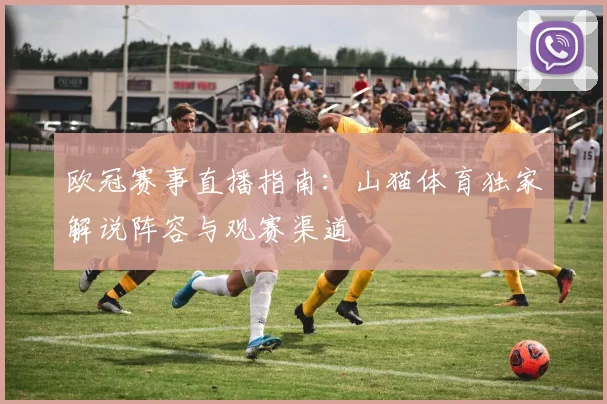 欧冠赛事直播指南：山猫体育独家解说阵容与观赛渠道