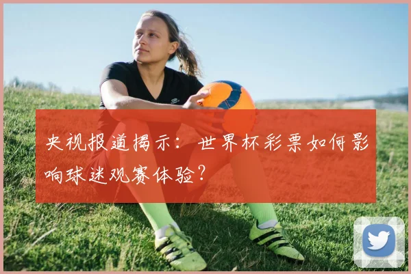 央视报道揭示：世界杯彩票如何影响球迷观赛体验？