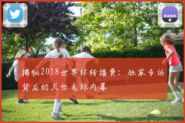 揭秘2018世界杯转播费：独家专访背后的天价竞标内幕