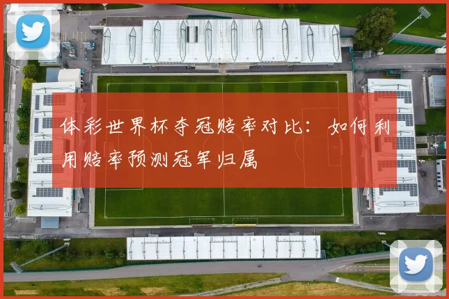 体彩世界杯夺冠赔率对比：如何利用赔率预测冠军归属