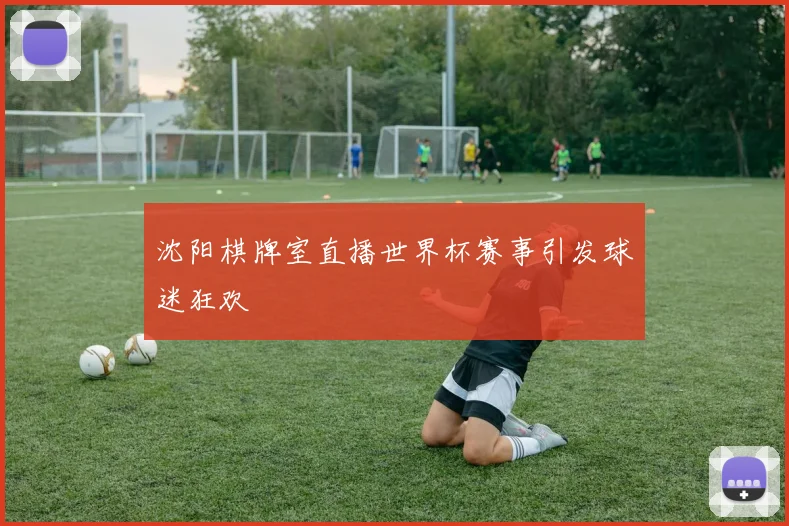 沈阳棋牌室直播世界杯赛事引发球迷狂欢
