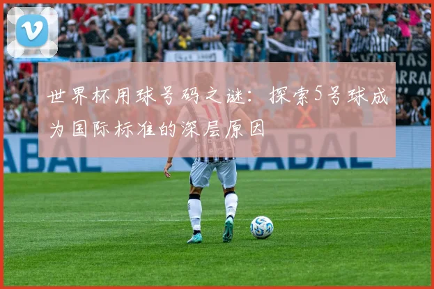 世界杯用球号码之谜:探索5号球成为国际标准的深层原因