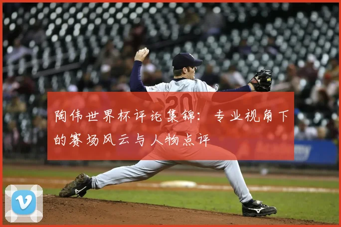 陶伟世界杯评论集锦:专业视角下的赛场风云与人物点评
