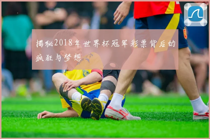 揭秘2018年世界杯冠军彩票背后的疯狂与梦想