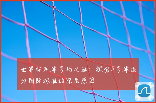 世界杯用球号码之谜:探索5号球成为国际标准的深层原因